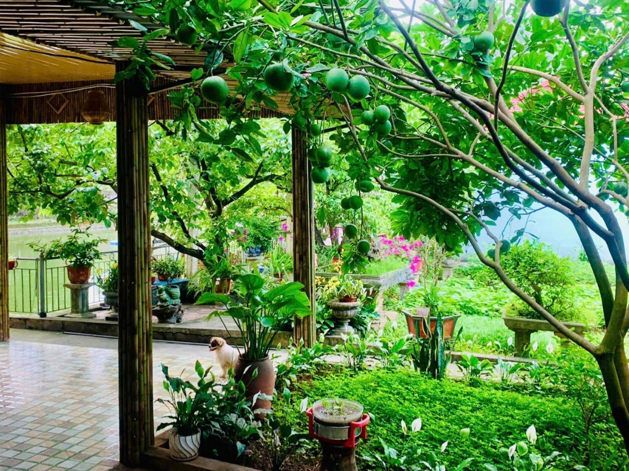 Blue Garden Homestay Нин Бин Екстериор снимка