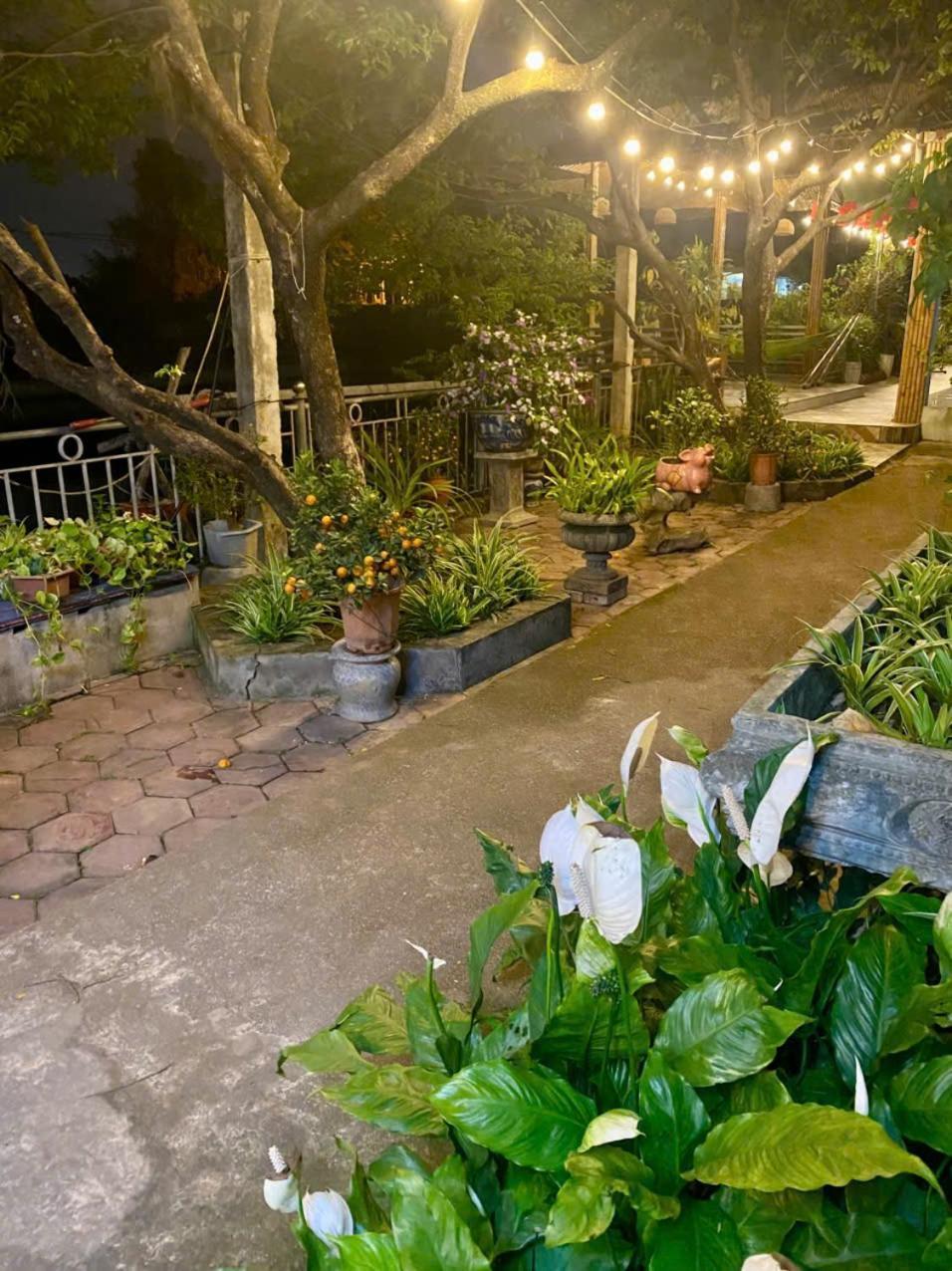 Blue Garden Homestay Нин Бин Екстериор снимка