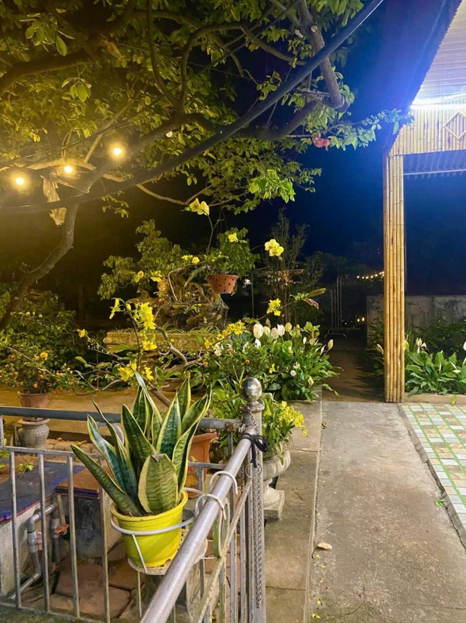 Blue Garden Homestay Нин Бин Екстериор снимка